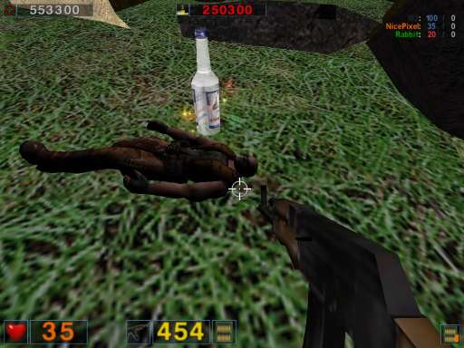 (screenshot 11)